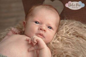 Antonella Piazzi, fotografo Newborn a Bologna. Servizio fotografico maternità e neonati. Sessioni fotografiche pancia e pancione, foto gravidanza, maternity, dolci pose, body painting, bimbi e bambini 0-12 anni, presso studio fotografico Fotoprogress Budrio